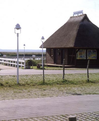 zingst